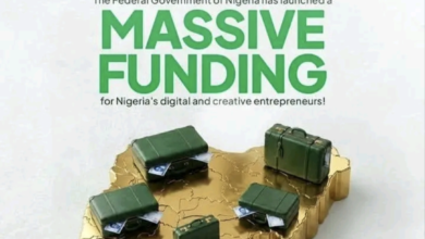 BOI iDICE Debt Fund 2026 validation process and approval stages for Nigerian startups and creative businesses